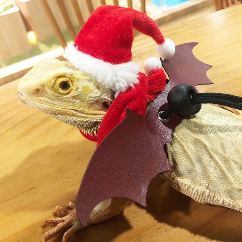 Bearded Dragon Lizard Santa Hat+Scarf+Traction Rope Christmas Xmas Costume Set B85C