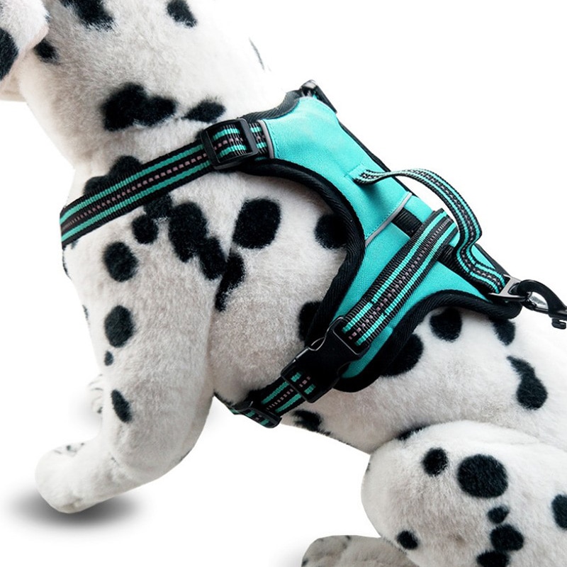 Pet Dog Harness Leash With Adjustable Straps Chest Back Reflective Breathable Mesh Chest Strap Pet Dog Supplies