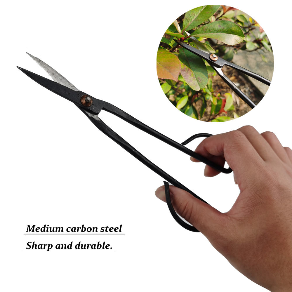 Juego de Herramientas para bonsái, Kit de tijeras de corte extensivo para poda de jardín, herramientas de estilismo para bonsái, 2/3/4/5/6 piezas