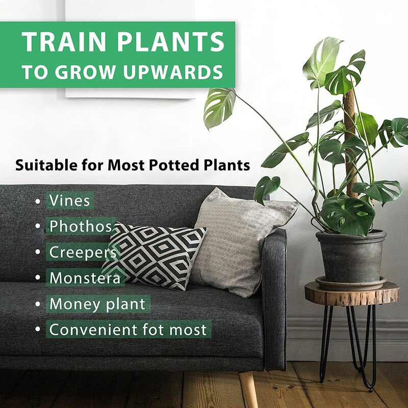 30/40cm planter klatrestokk kryp espalier støtte kokos totempæl utendørs opprettholde fuktighet hjemme innendørs hage