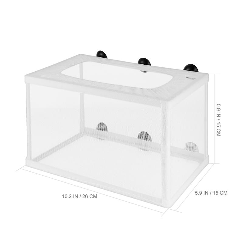 aquariums Vissen kopen? | Vergelijk & bespaar