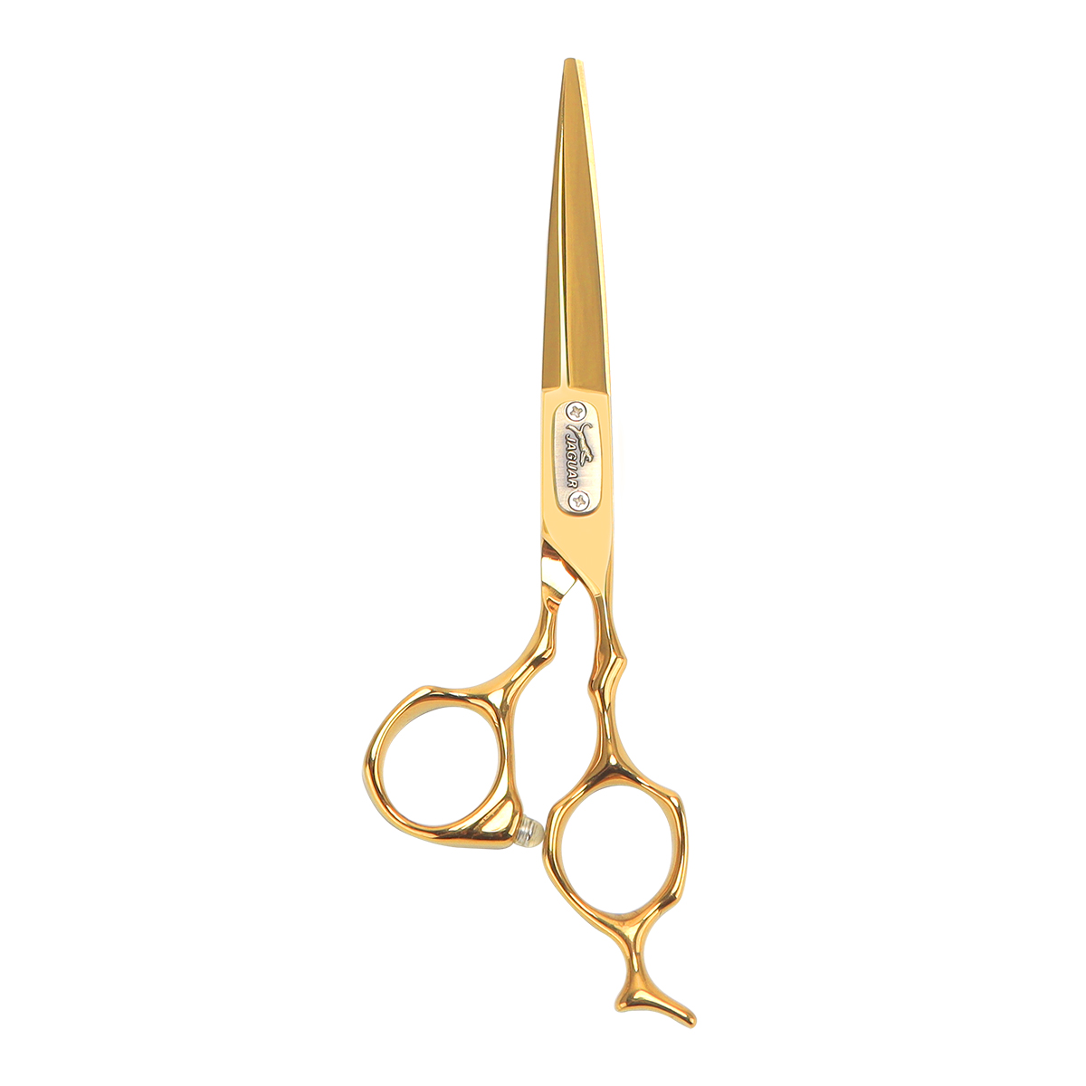 Hair Scissors Hair Thinning Cutting Clipper Barber 6 Inch Scissor Hair Shears Barber Shop Hairdressing Scissors: green
