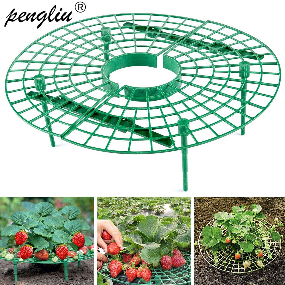 1PC Strawberry Plant Support Strawberry Growing Frame Holder Green Round Climbing strawberry plants Tool for Strawberry Planting