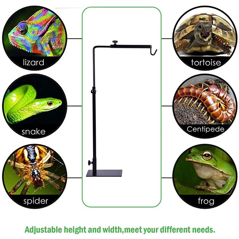 Reptile Lamp Stand Fixed Bracket Adjustable Floor Light Stand, Light Stand Heat Lamp Stand Metal Lamp Support