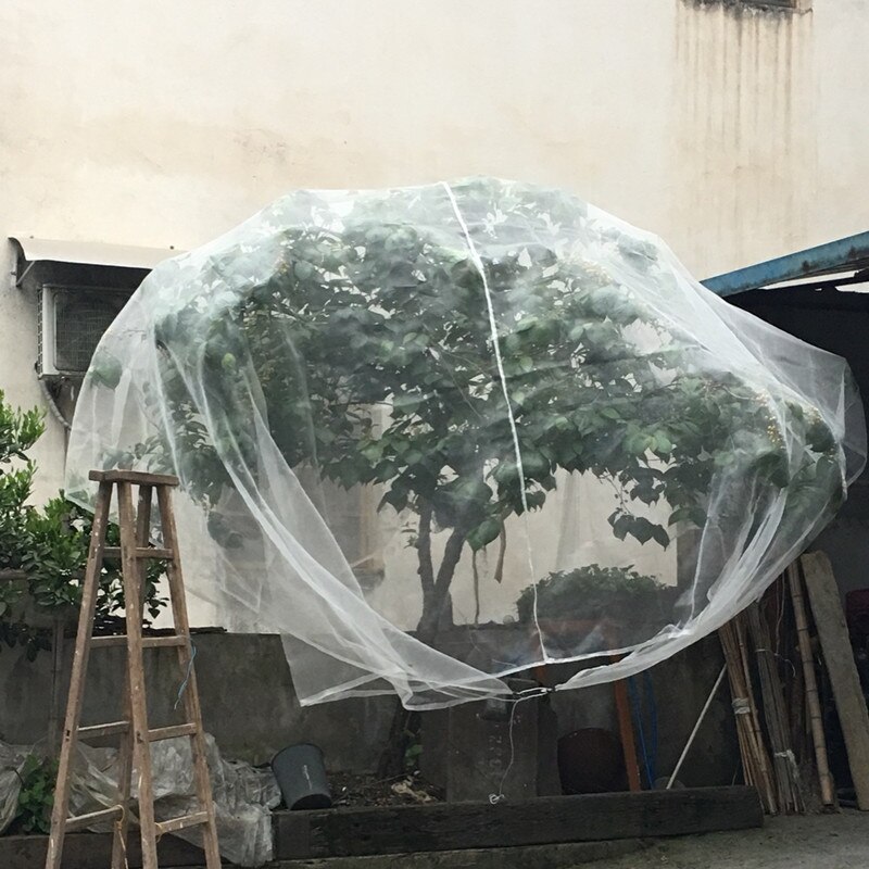 Gewächshaus Schutzhülle Net 60mesh Obst Gemüse Pflege Abdeckung Insect Net Anlage Abdeckungen Net Garten Schädlingsbekämpfung Anti-vogel mesh Net