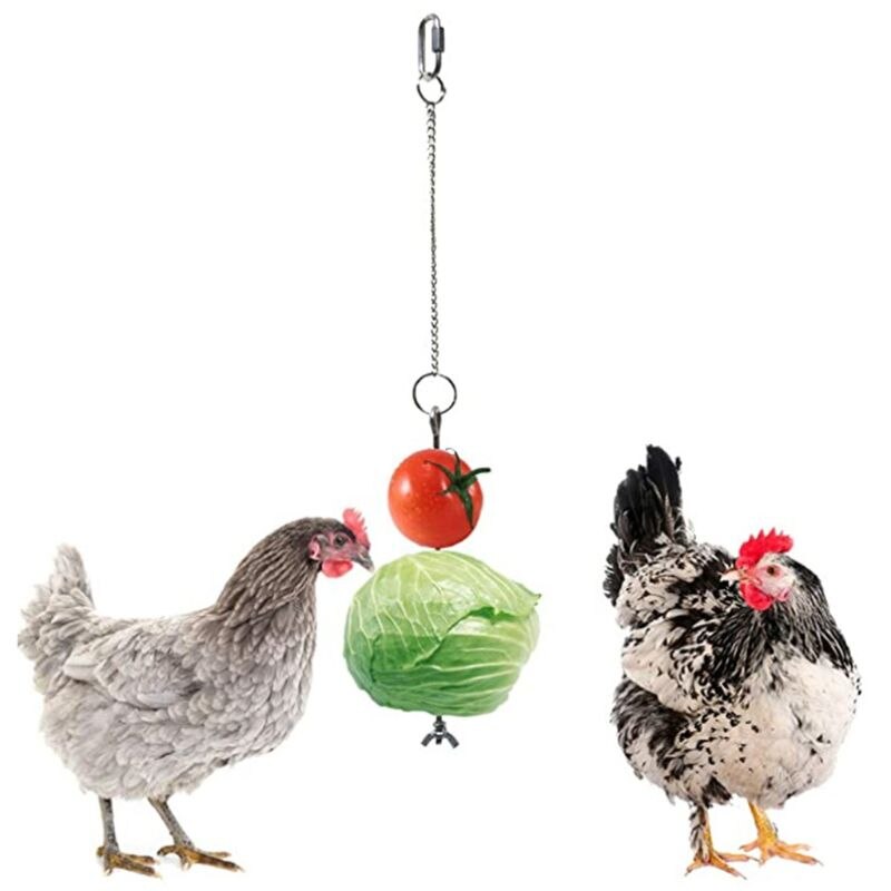 Forrajeo-pincho de acero inoxidable para comida, soporte para fruta para gallinas, comedero colgante para verduras, juguete de verduras