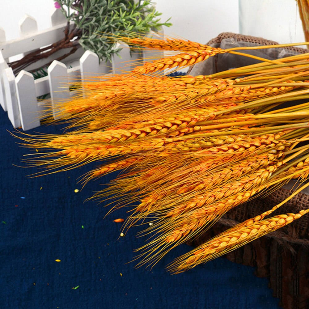50Pcs/lot Real Wheat Ear Flower Natural Dried Flowers or Wedding Party Decoration DIY Craft Scrapbook Home Decor Wheat Bouquet