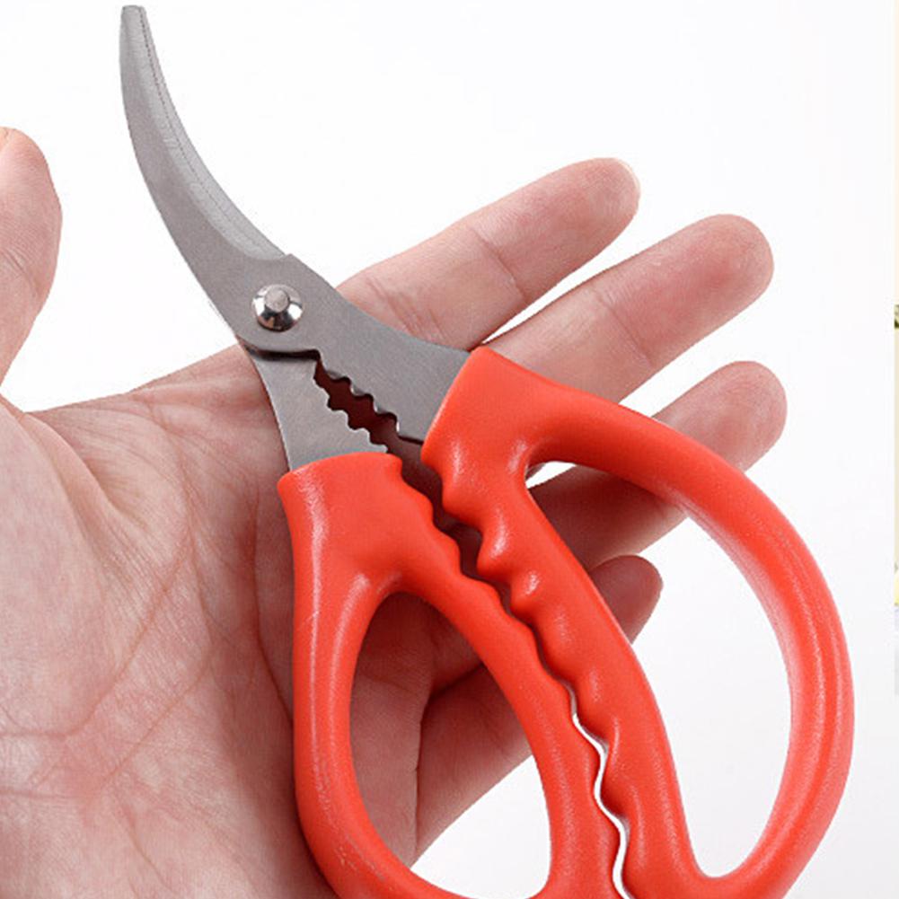 1 pc Multifunctionele Keuken Schaar Roestvrij Staal Gebogen Zeevruchten Schaar Keuken Tool Voedsel Verwerking Levert