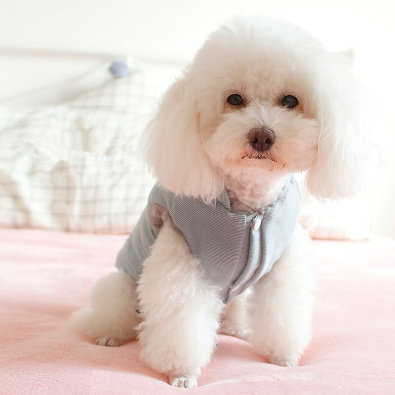 Reversible Dog Coat Jacket Double-sided wearable D... – Grandado