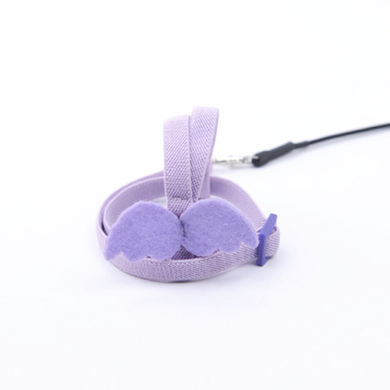 Set di imbracature e guinzagli per pappagalli corda da allenamento per volo all&#39;aperto regolabile con ala per piccoli uccelli medi Cockatiel, Macaw, Budgie: Purple