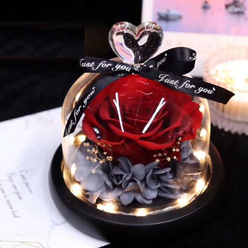 AINYROSE fleur de Rose artificielle en dôme de verre avec lumière LED boîte lampe de nuit Rose éternelle d'anniversaire de mariage pour fille: Red Rose Light