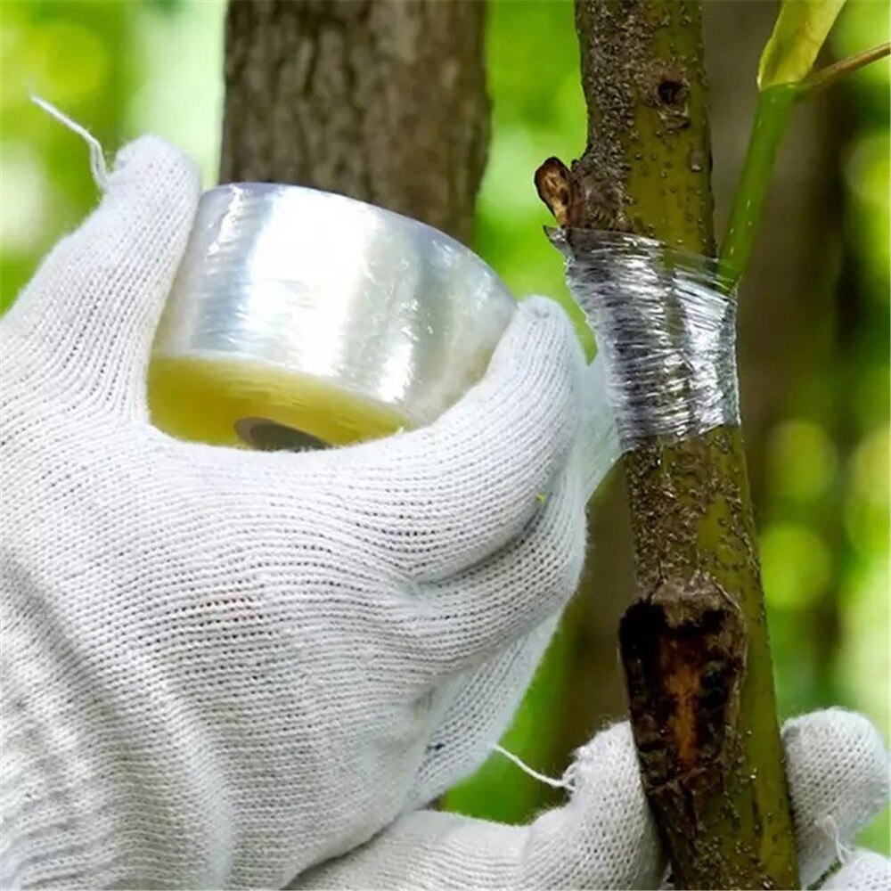 Haver træ planteskole frøplante beskæresaks reparere rullebånd graft barriere parafilm beskæring spirende frugt stræk fugt