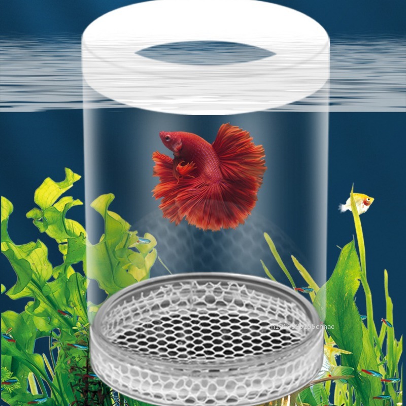Boîte d'élevage Guppy, incubateur d'aquarium, petit poisson, salle d'accouchement, boîte d'isolation de Suspension, accessoires de réservoir d'aquarium