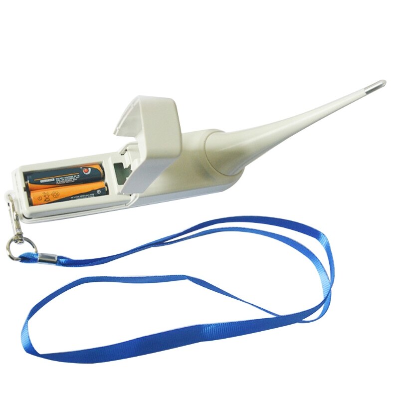 Thermomètre avec sonde pour animaux de compagnie, pour une détection précise de la température, adapté aux chats et chiens, écran LCD