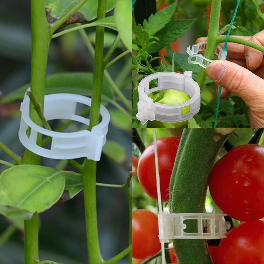 50/100/200 stk 23mm plast plantestøtteklemmer klemmer til planter hængende vinhave drivhus grøntsager tomat klips