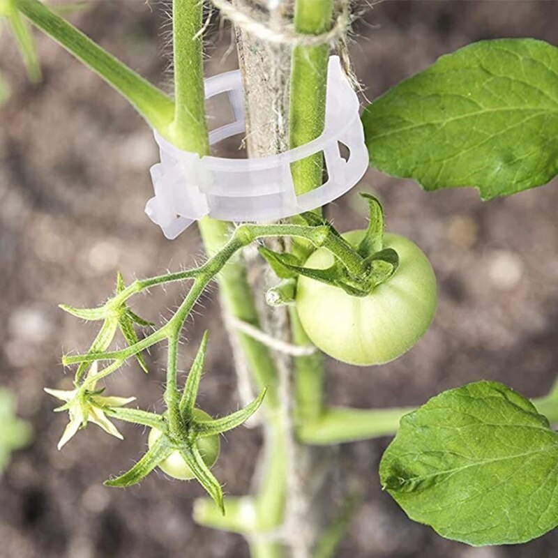 50 Stuks Plastic Plant Ondersteuning Clips 23Mm Herbruikbare Klemmen Voor Opknoping Tomaten Wijnstok Vaste Stand Groei Tuin Kas Levert