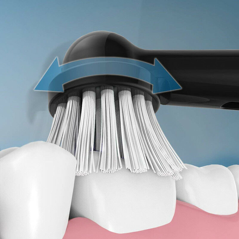 Fairywill Sonic Electric Toothbrush FW2205 USB Charge Rechargeable Replacement Heads Waterproof Smart Timer Whitening for Adult