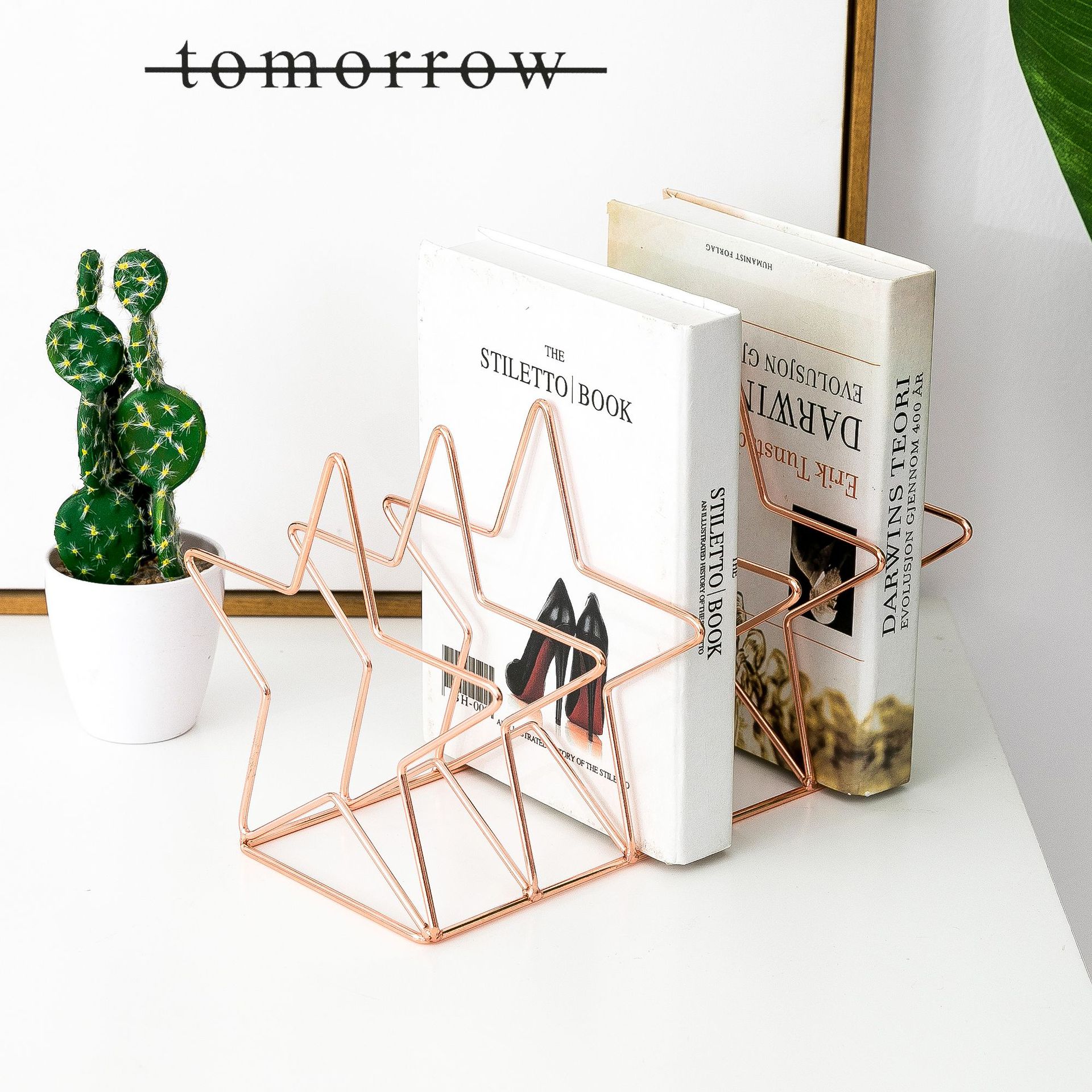 Pentastar Shape Magazine Holder File Sorter Metal 5 Slot Desk Organizer Rack for Document Folder Letter and Book Bookstand