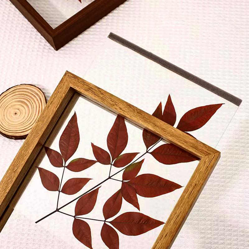 Marco de fotos cuadrado de madera transparente, estante de exhibición de herbario, decoraciones minimalistas creativas para el hogar, marco de vidrio de doble cara, 1 pieza