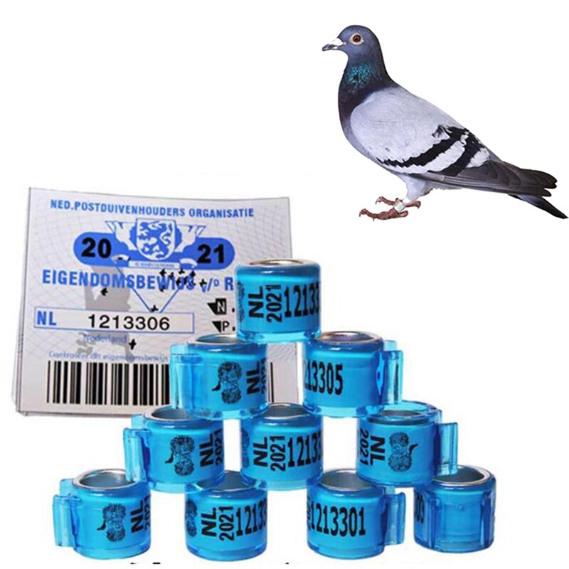Bague d'identification de Pigeons, anneau de pied de Pigeon avec certificat d'oiseau Durable, anneau de pied de faisan, outils multicolores pour oiseaux