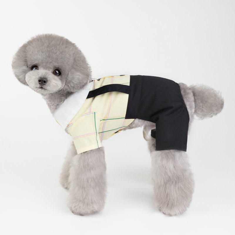 Sommer kæledyr hund bukser mælk hund tøj elskere bamse hunde tøj hvalpe hundedragter små hunde outfits kæledyr hund jumpsuit: Gule shorts / M