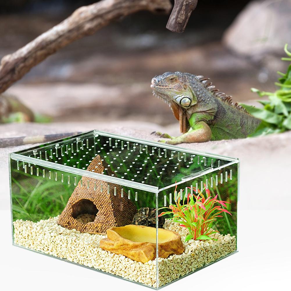 Transparent Fish Breeding Isolation Box Aquarium B... – Grandado