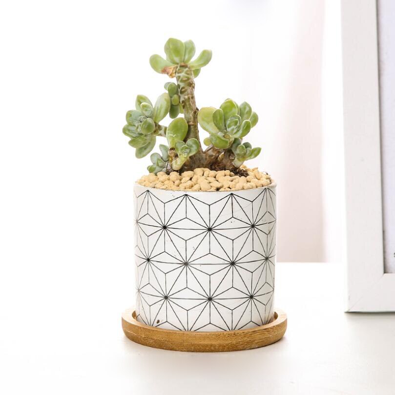 Sales Home Modern Style Desktop Flower Pot Green Plant Holder Ceramic Planter Geometric Printing Plant Pot Office Decoration: Type Three / with base