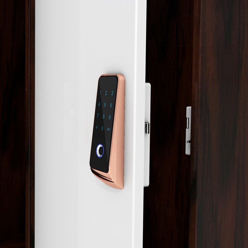 RFID Electronic Lock Fingerprint Password Wooden Door Keyless Smart Cabinet Drawer Locker Lock Wardrobe Lock