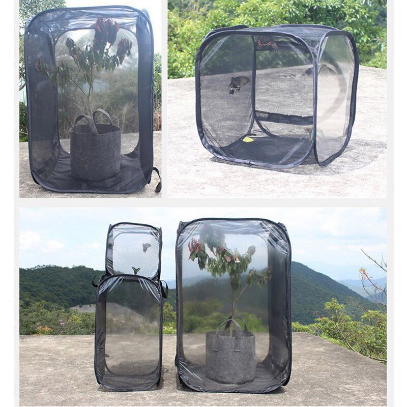 Insekten Proof Ant Farm Schmetterling Lebensraum Box Transparent Anlage Sämlinge Inkubator Tragbare Faltbare Insekt Käfig