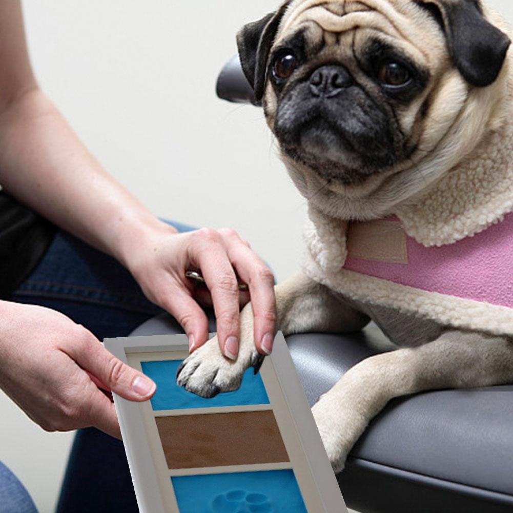 Pet Keepsake Kit Pet Keepsake Picture Frame And Pawprint Kit Paw Print Keepsake Frame Kit With Wooden Photo Frame And Clay