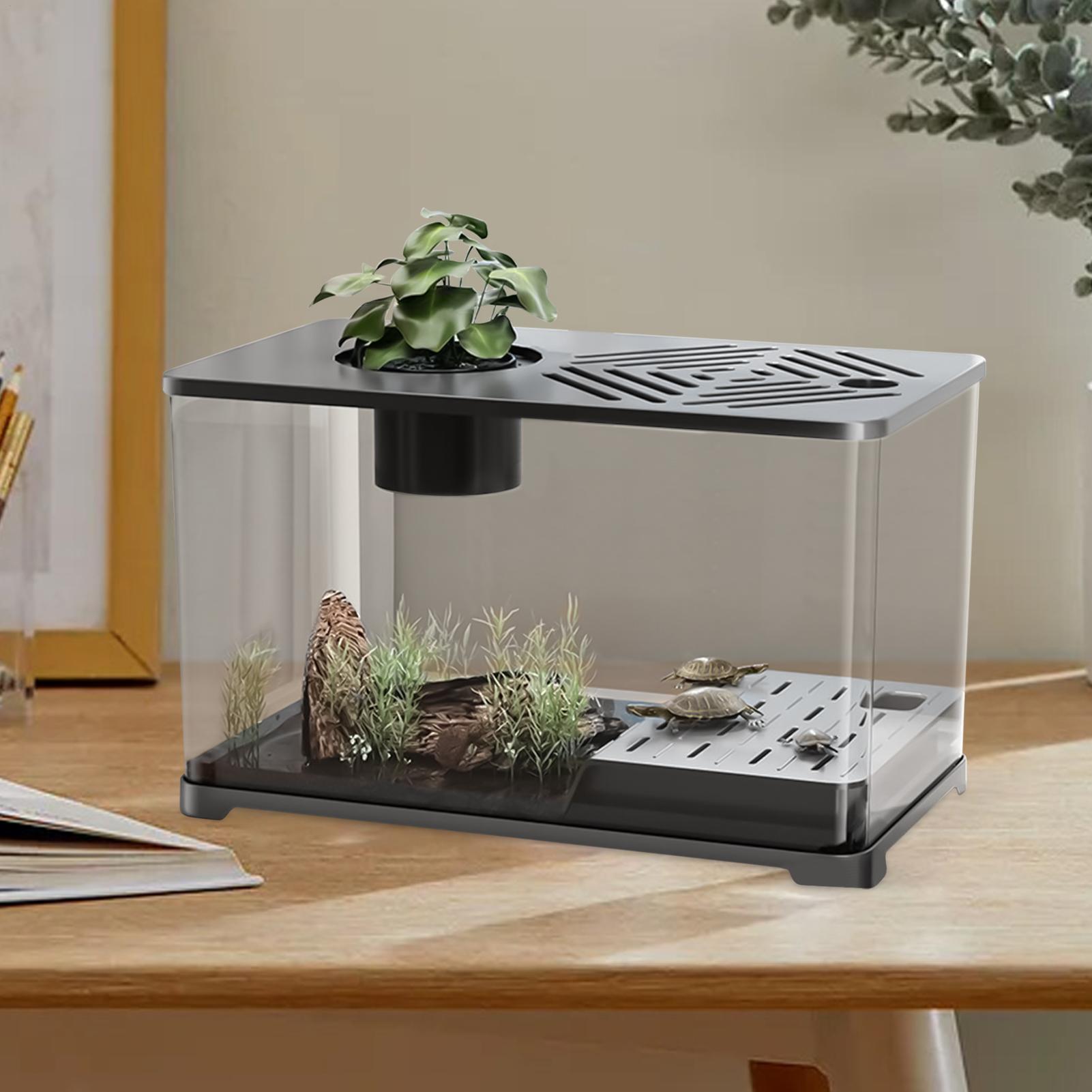Akwarium na biurko, duży akwarium, pojemnik na akwarium, panoramiczne HD z miejscem robić odpoczynku dla żółwi, robić uprawy roślin wodnych, gupików.