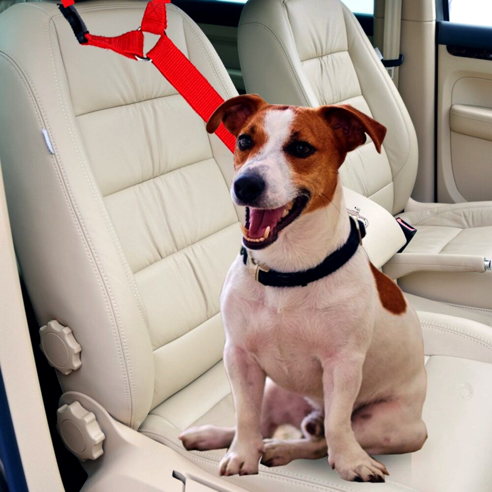 Halsbanden Leads Verstelbare Handgreep Voertuig Auto Dog Seat Belt Honden Auto Gordel Harness Lead Clip Veiligheid Tractie Producten