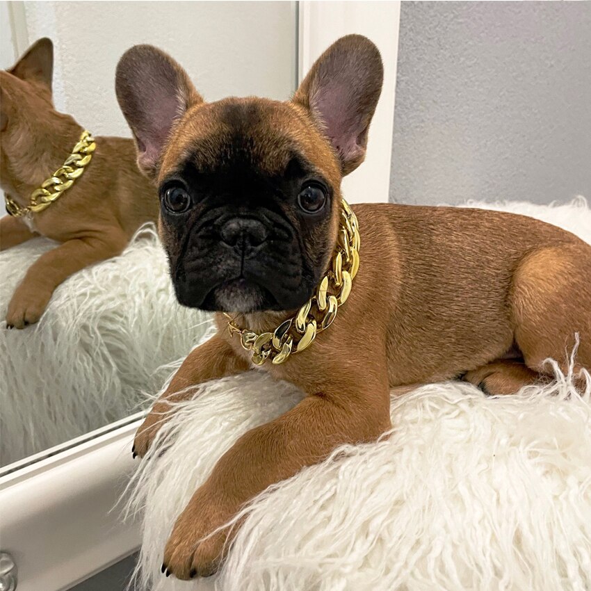 Huisdier Ketting Dikke Gouden Ketting Vergulde Plastic Verstelbare Halsband Voor Medium Grote Honden Bulldog Training Huisdieren Accessoires