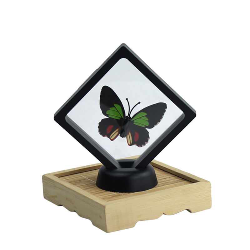 Displays Vierkante 3D Albums Drijvende Frame Houder Zwart Wit Coin Box Sieraden Display Show Case Voor Bruiloft