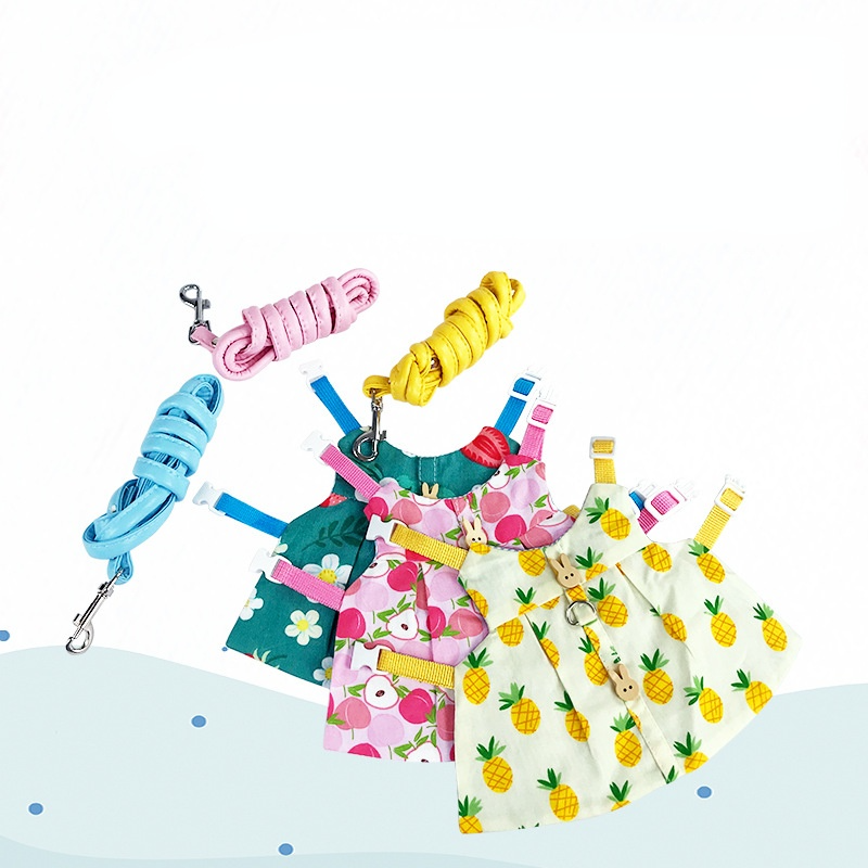 Vêtements pour petits animaux de compagnie, corde de Traction, lapin nains, cochon d&#39;inde, bijoux spéciaux, pour jeunes lapins