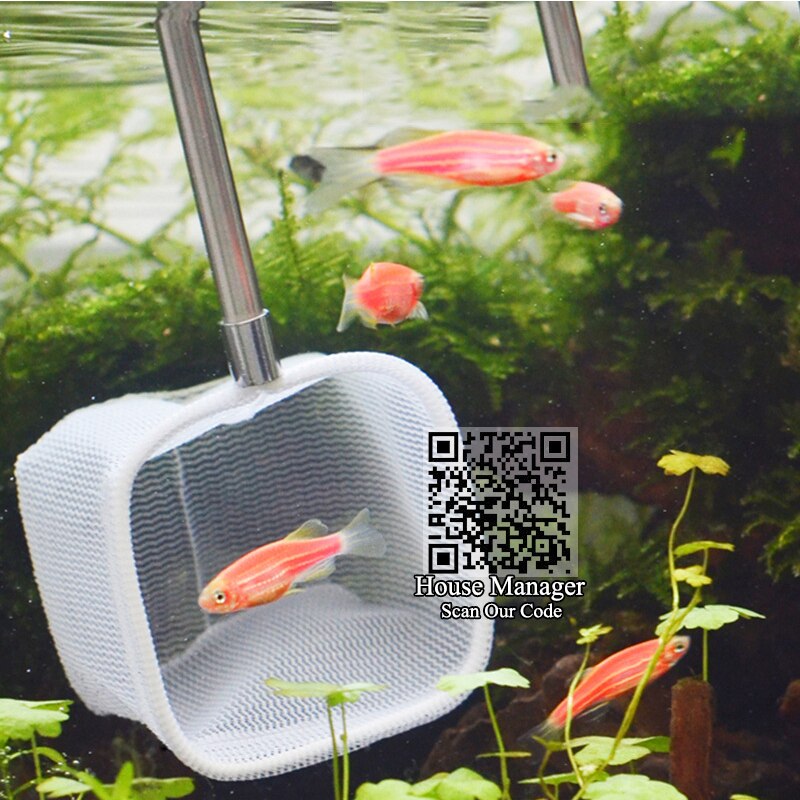 Rvs Aquarium Fish Visnet, Ronde Of Vierkante, vangen Handvat Pocket Garnalen Kleine Vis Mesh Net Voor Aquarium Tank