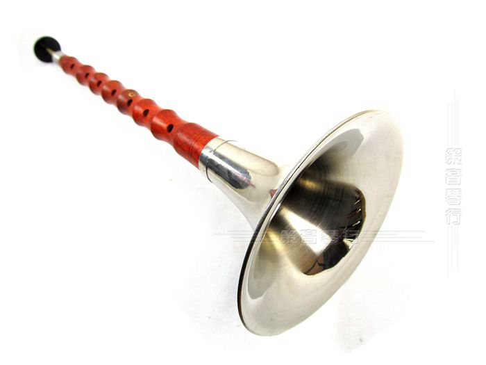 Suona/Shanai de palisandro de para principiantes, instrumento Musical folclórico chino, llave de Zurna/Laba de C/D/E/bB/Major A/Major G