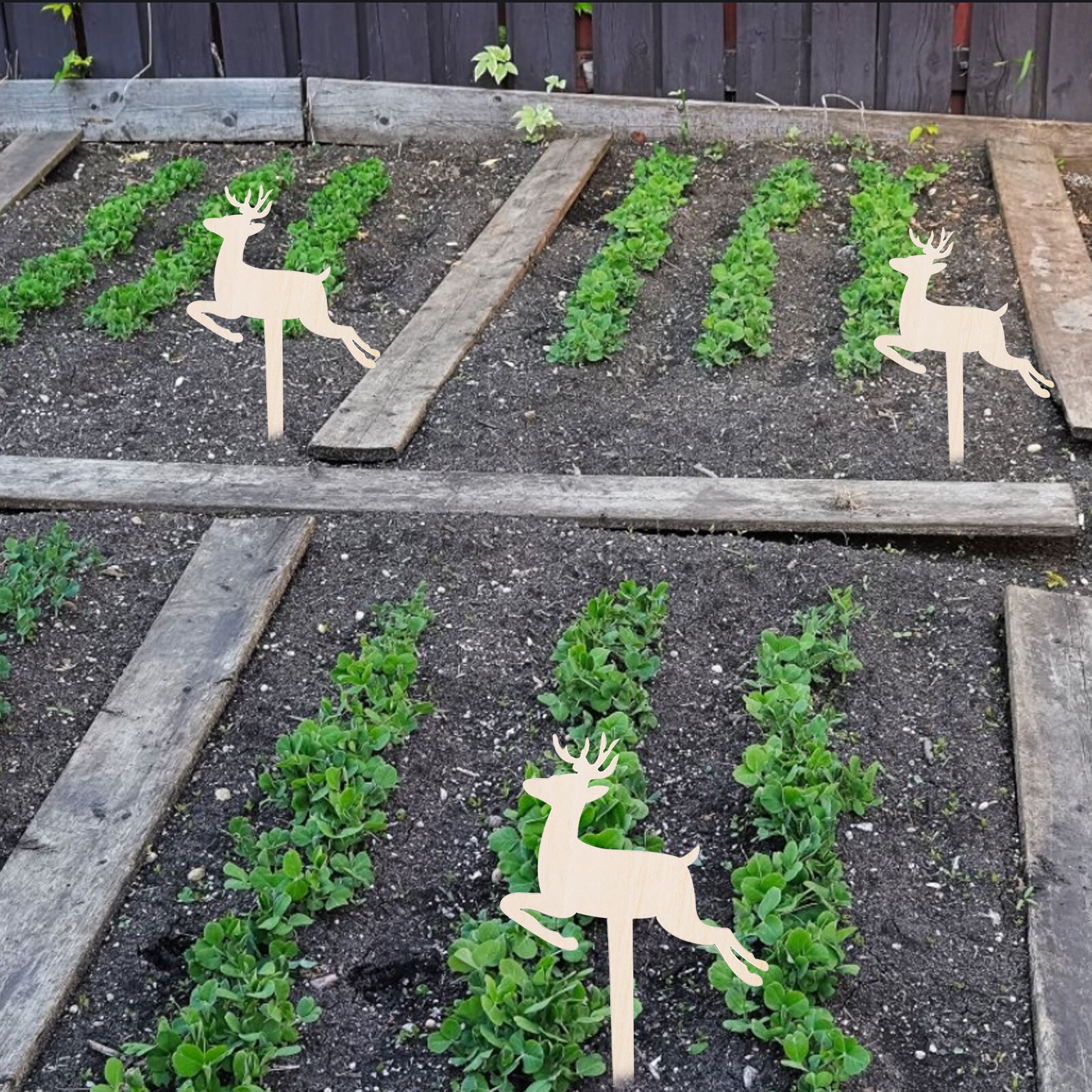 Letreros con etiquetas para plantas, etiquetas creativas de madera para jardinería, tipo T, decoración creativa de flores para jardín y guardería, bandeja para semillas, 10 Uds.
