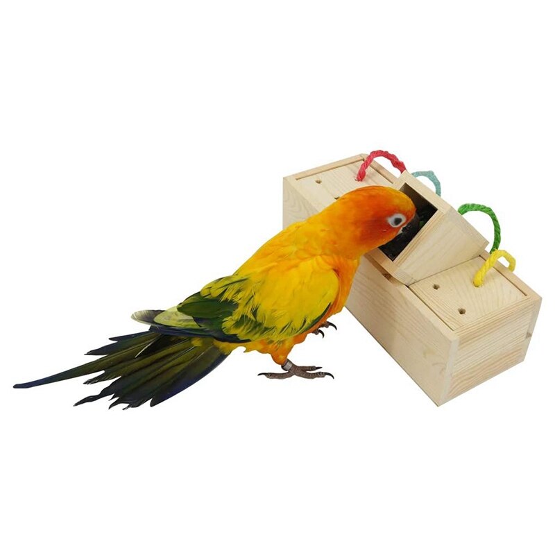 Wooden Bird Foraging Feeder Toys, ligence Toys for... – Vicedeal