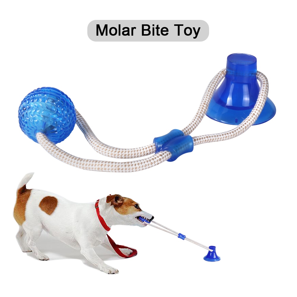 Sindax Zuig Hond Speelgoed Hond Tandenborstel Doggy Zuignap Push Ropeball Tugtoy Tpr Ball Voor Pet Hond Gebitsreiniging