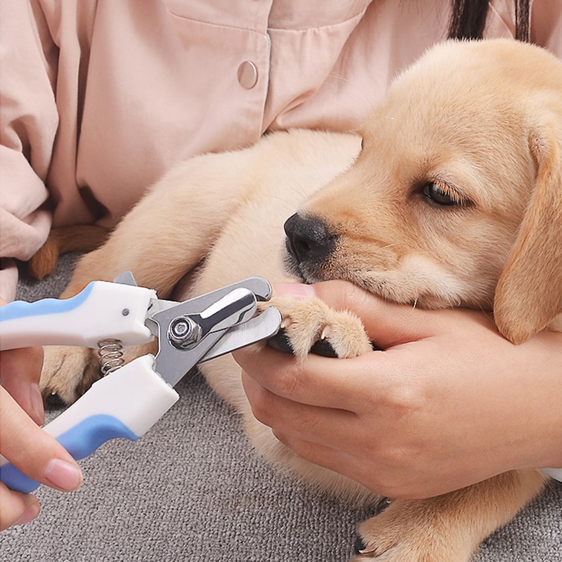 Tijeras para cortar uñas de mascotas, tijeras para uñas del pie para perros y gatos, recortador, herramientas de aseo para animales, suministros para mascotas