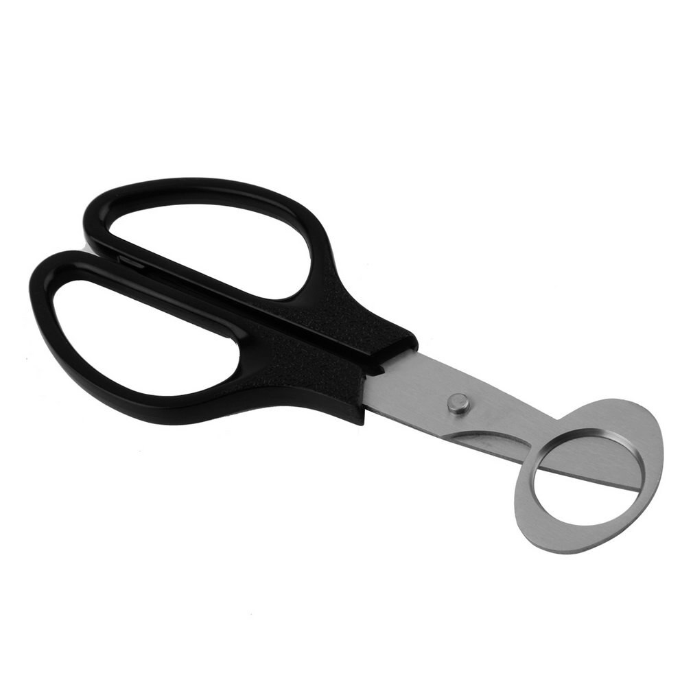 Sales Quail Egg Shells Scissors Household Tool Scissors Cracker Opener Cigar Cutter Stainless Steel Blade Tool