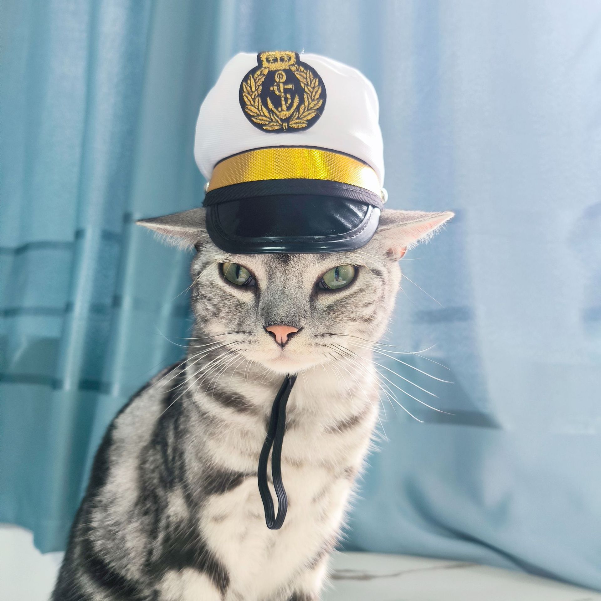 Gorro de gato refinado bonito, gorro elástico de felpa para invierno para mascotas, gorro tejido para cachorros y gatitos, accesorios de decoración para y Cosplay, accesorios para gatos para mascotas: Gris claro