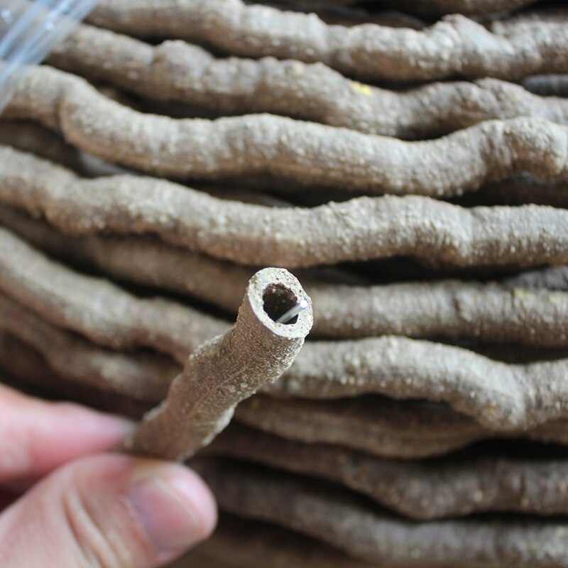 Terrario Flexible para Reptiles de jungla, trepador de jungla Flexible, suministros para mascotas, Reptiles, terrario, accesorios de decoración