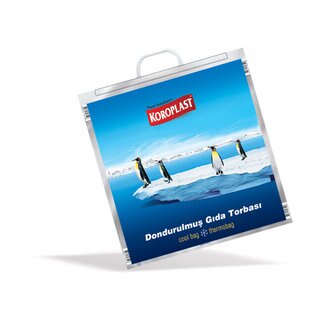 Koroplast 50 x 52 cm dondurulmuş gıda torbası