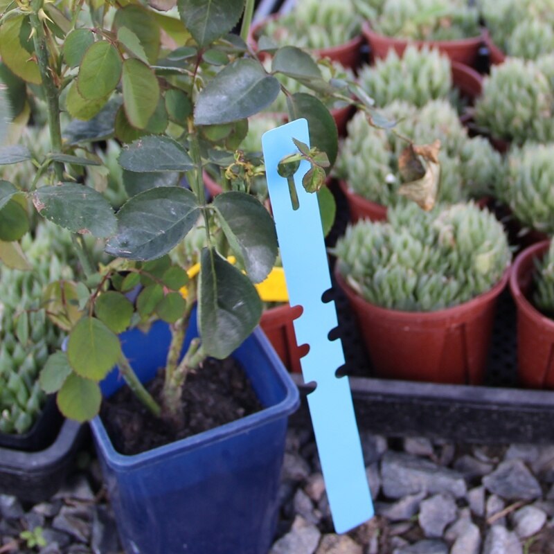 100pcs Durable Plant Hanging Tags plastic garden labels for Sapling Trees Nursery Classification Signs prompt card Planting tool