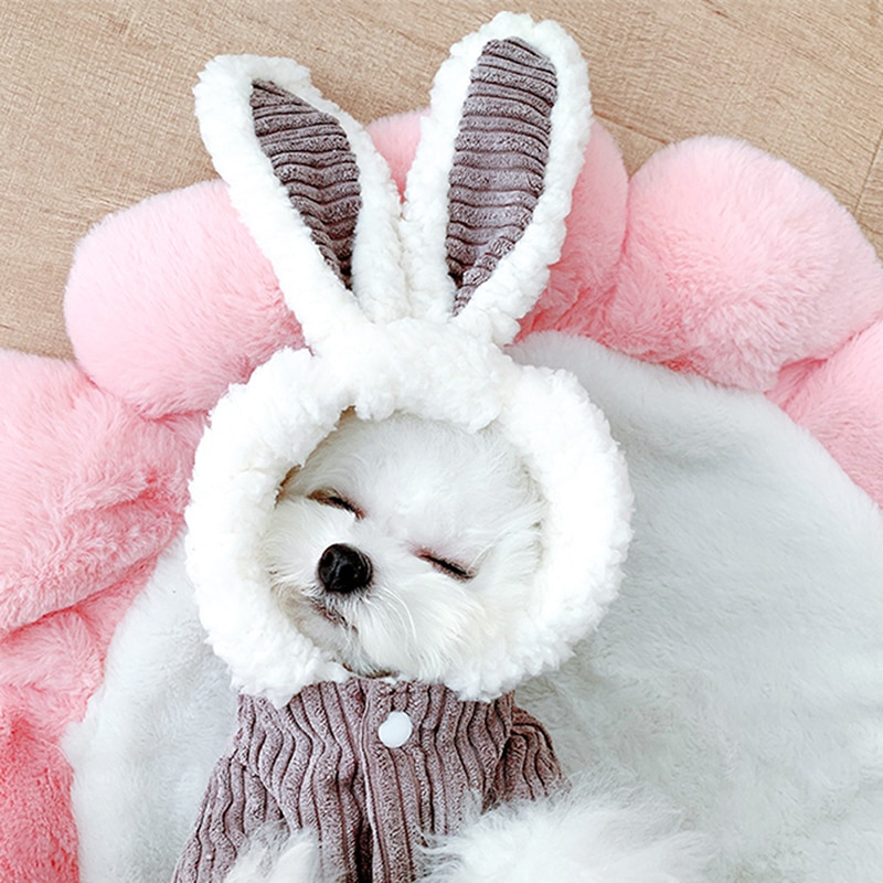 Konijn Warm Winter 2-Legged Dog Kleding Katoen Gewatteerde Cosplay Kostuum Polyester Warm Verdikking Leuke Hond Jas