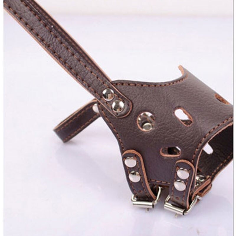 Pet Dog Anti-bite Mask, Mastiff Outdoor Wear, Leather Soft and Beautiful: Chocolate / M
