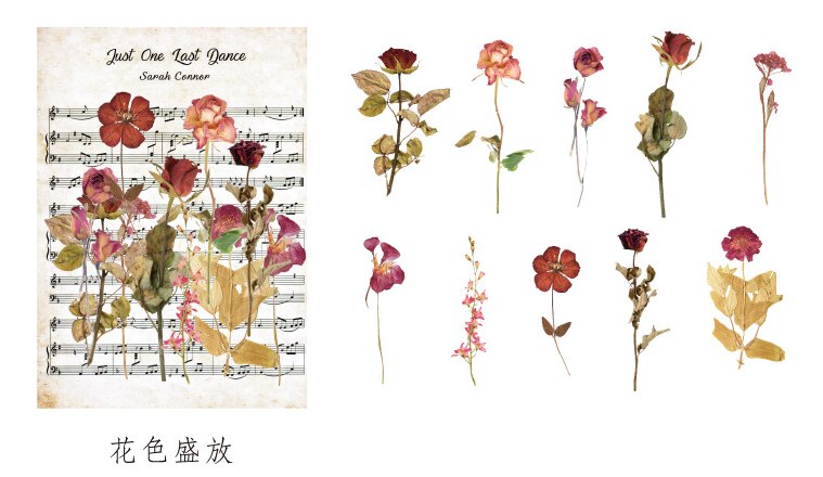 1 sæt /1 parti kawaii papirvarer klistermærker herbarium dagbog dekorative mobile klistermærker scrapbooking diy håndværk klistermærker: Huaseshengfang
