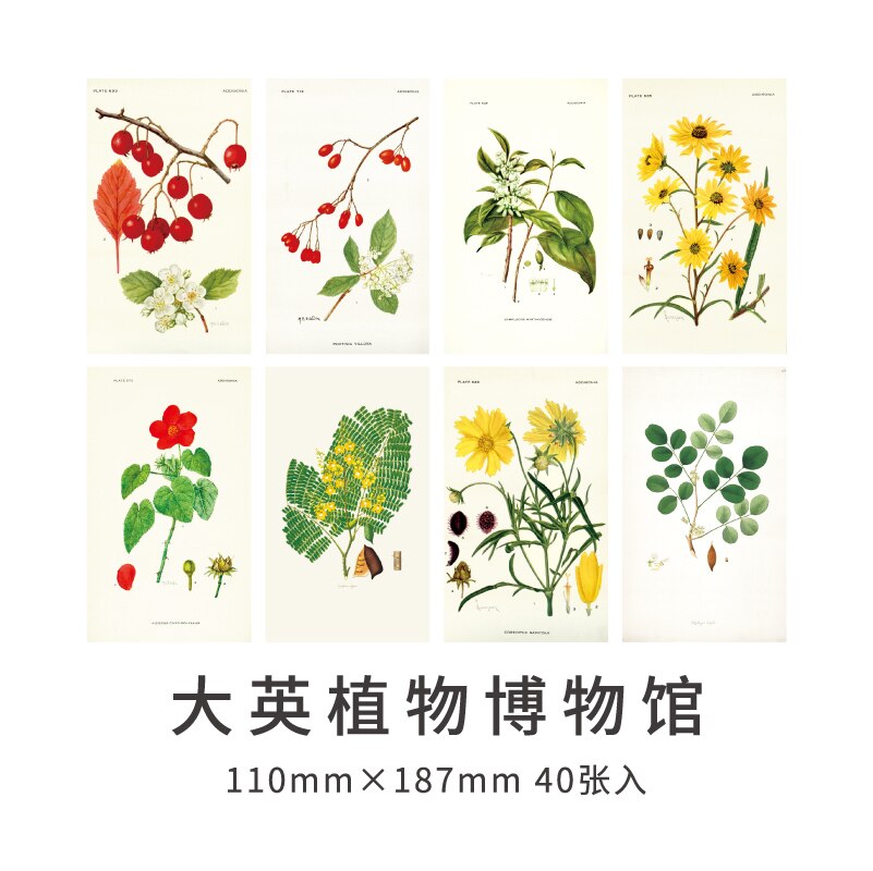 Vintgae Material Paper Antique Old Map English manuscript Background Paper DIY scrapbook album DIY diary decoration Craft Paper: 1